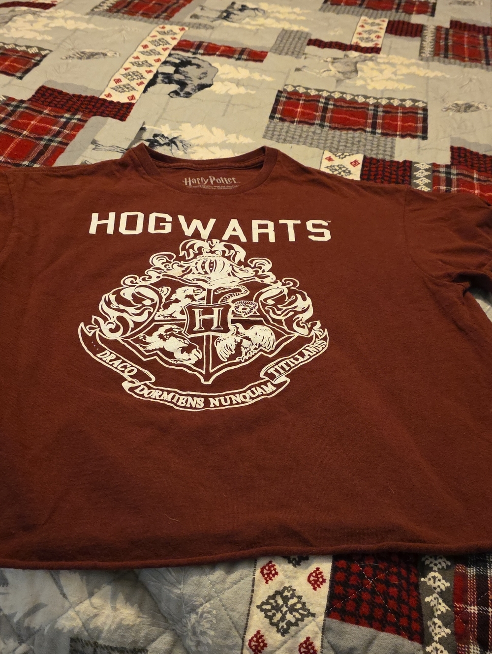 Warner Bros. Kids Hogwarts Crest T-Shirt - Maroon